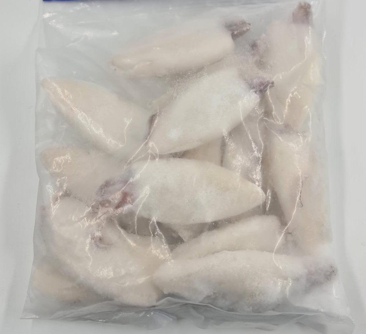 Ob Squid Whole 2lb