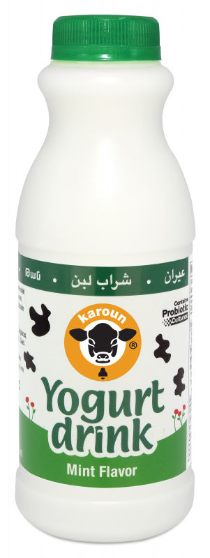 Karoun Mint Yogurt Drink 1pt
