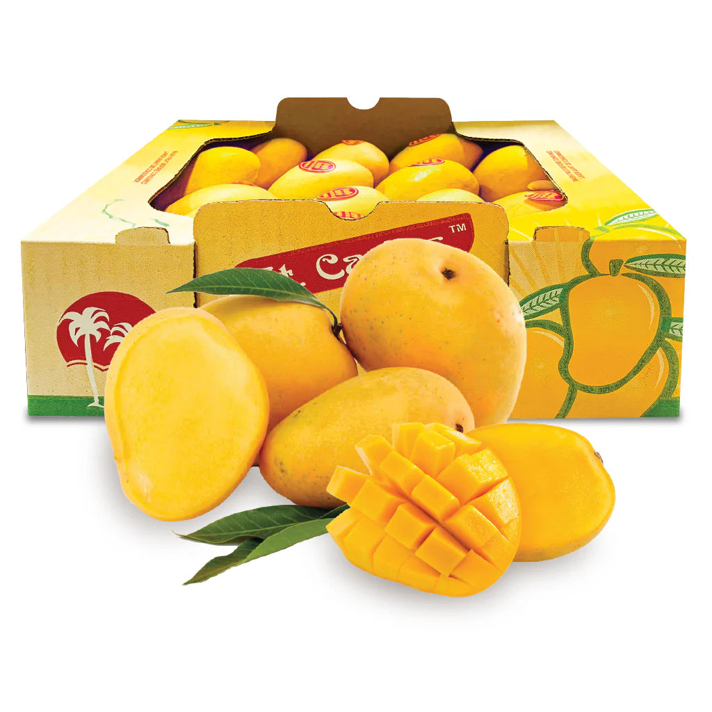 ATAULFO MANGO 14COUNT