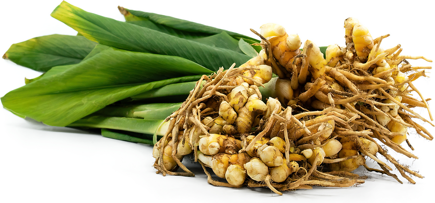 Tumeric With Leaf 10c