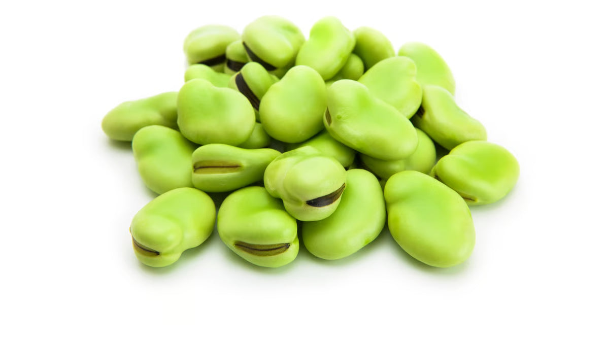 Fava Beans Per Lb