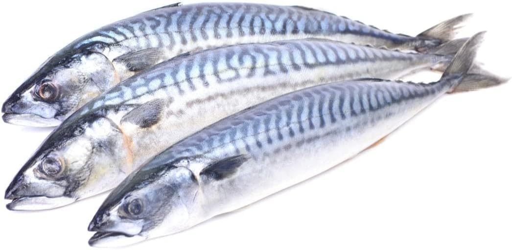 Sfd Mackerel Whole 2lb