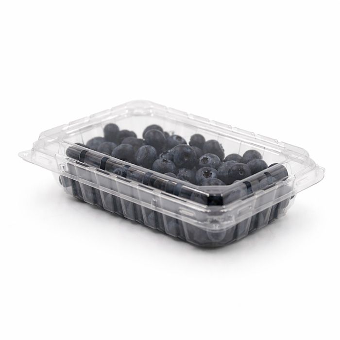 Blueberry Box 11oz