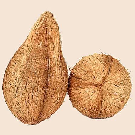 Brown Coconut Small Per Pc