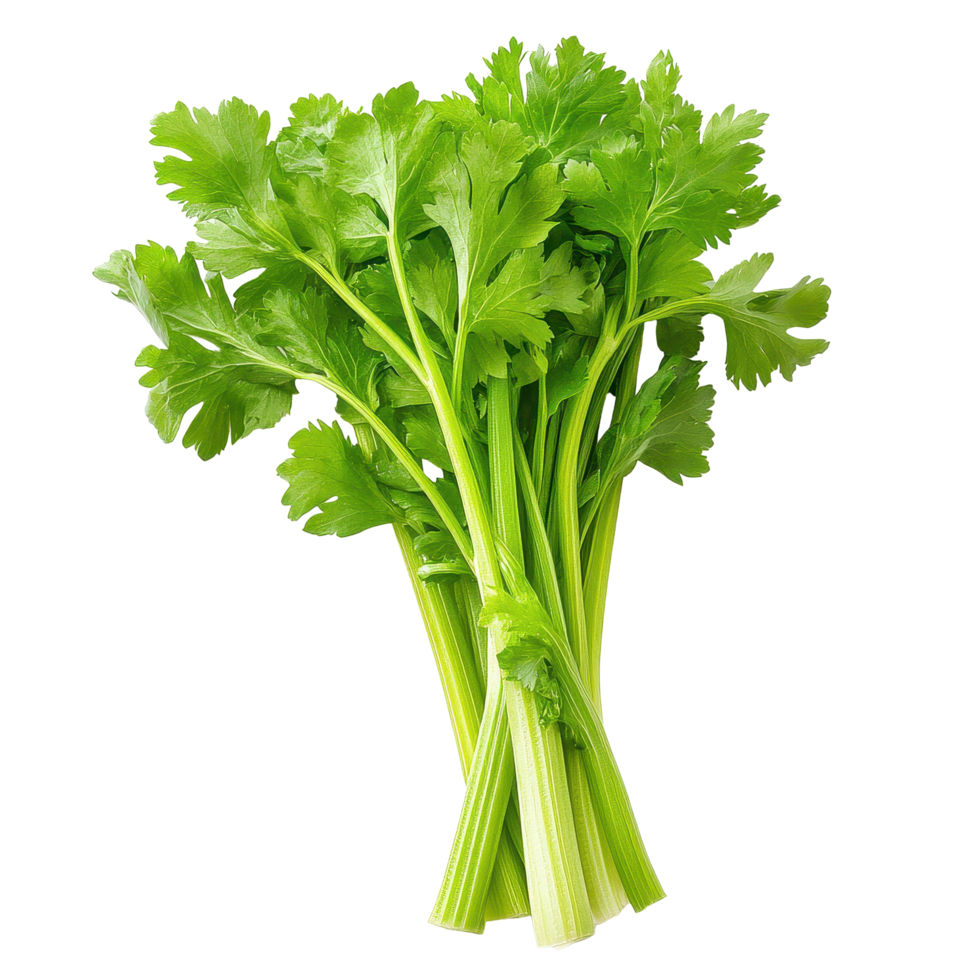 Celery Leaves Per Pc