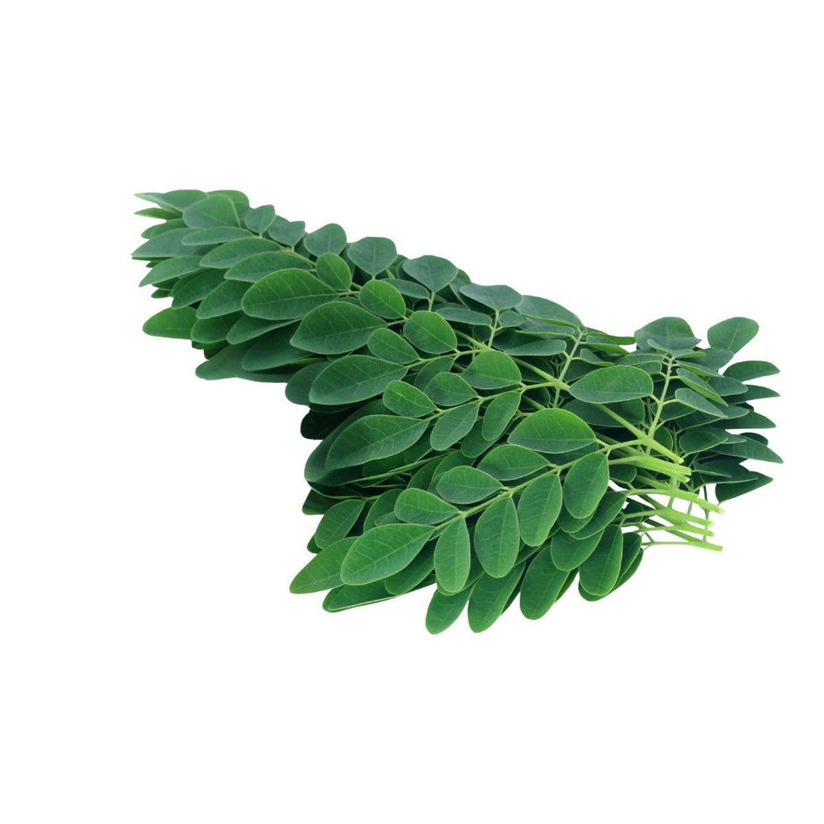 Drumstick Leaves Per Bunch