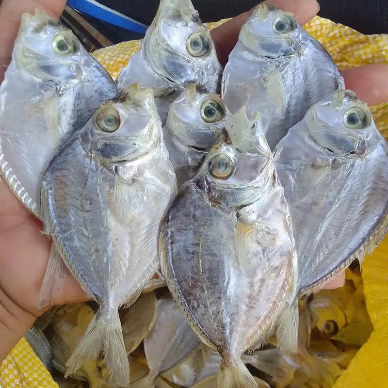 Dry Silver Pomfret Fish 200g