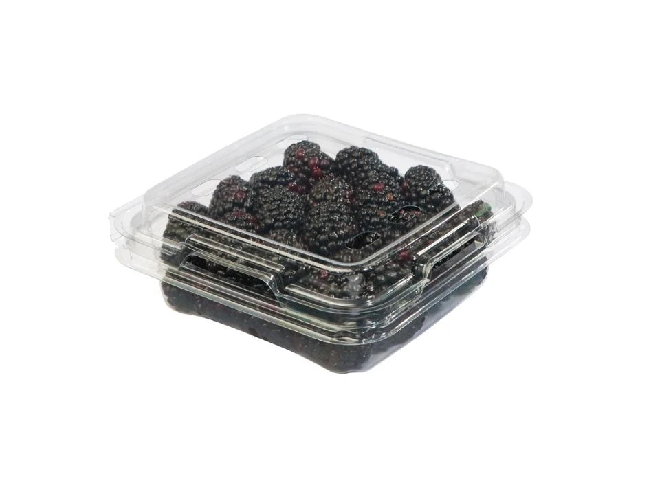 Fresh Black Berries 1box