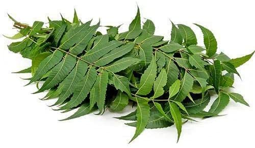 Neem Leaves Each Pack