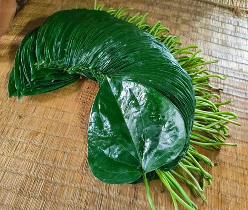 Pan Leaves Pack
