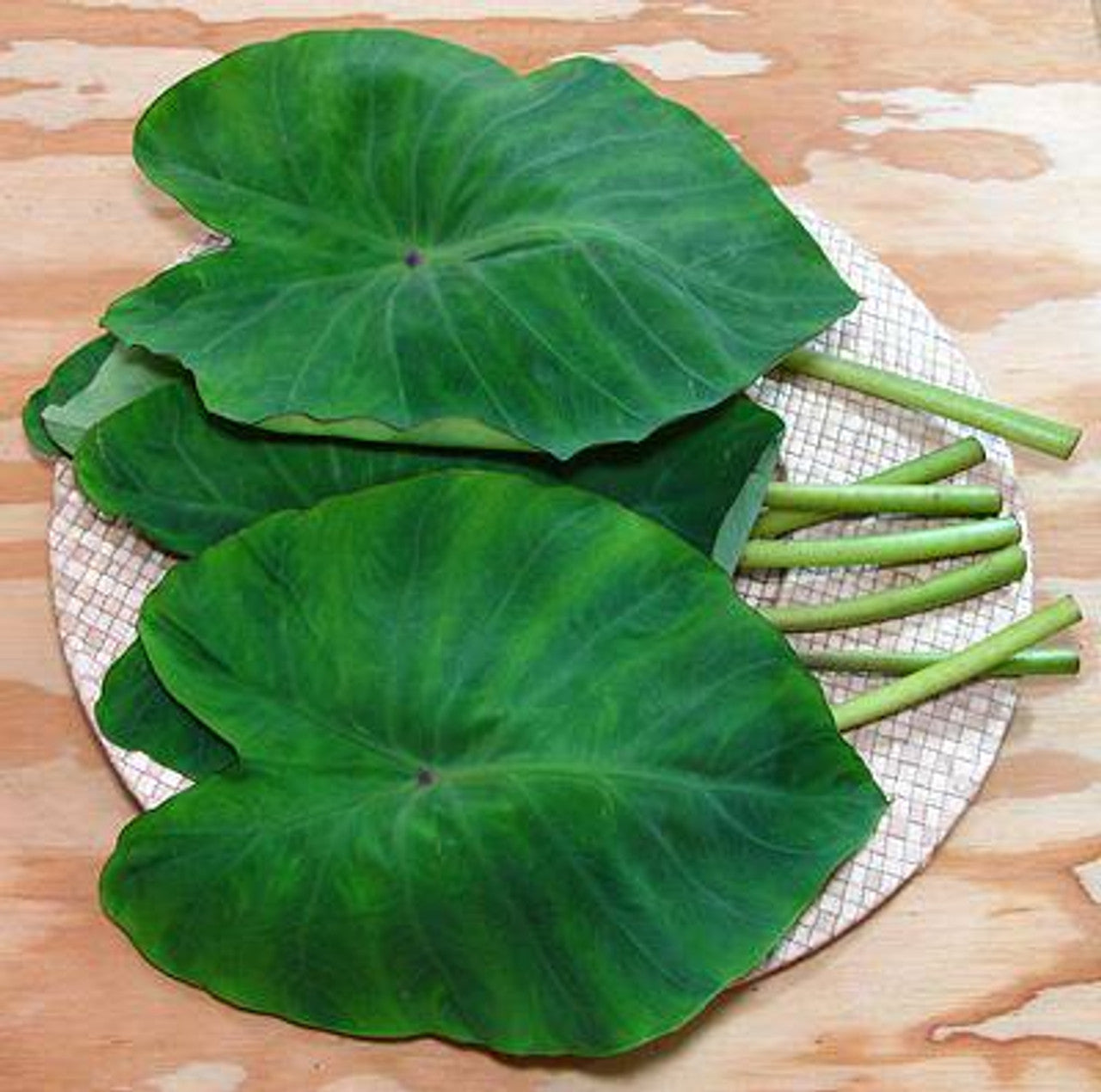 PATRA PURPLE LEAVES PER BUNCH