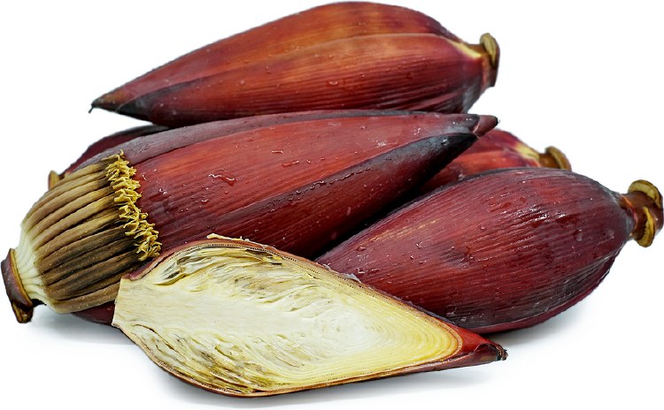 BANANA FLOWER PER LB