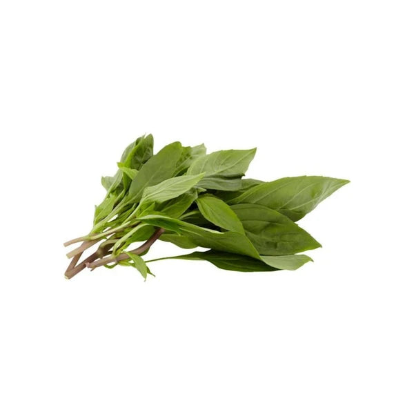 Basil Leaves