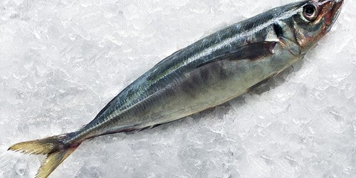 Ob Mackerel Dressed 2lb