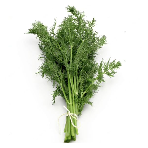 Dill Leaves Per Pc