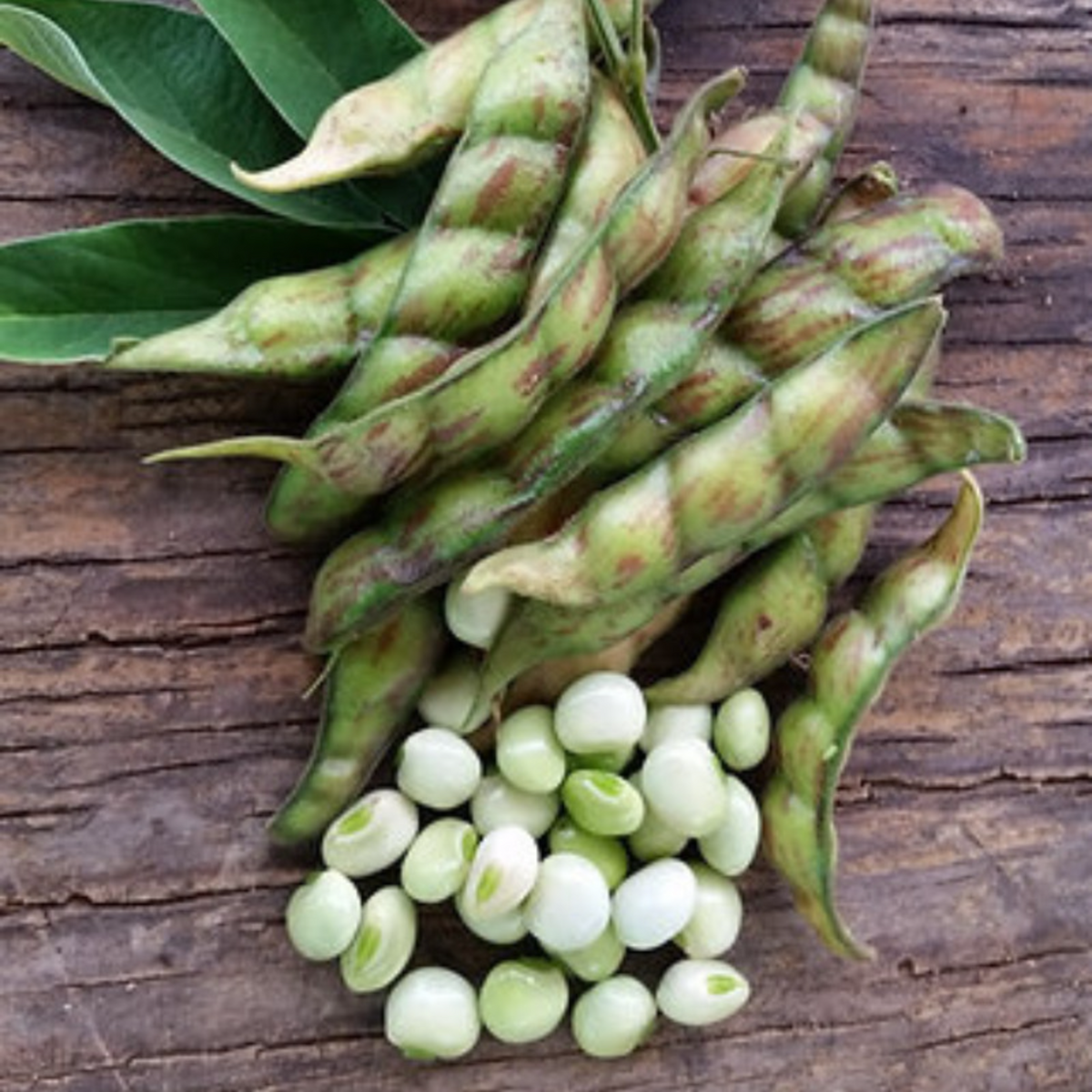 Tuvar Beans Per Lb
