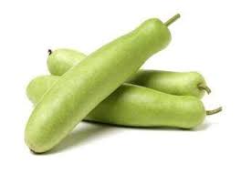 INDIAN OPO /SQUASH PER LB
