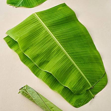 Banana Leaf Per Pc