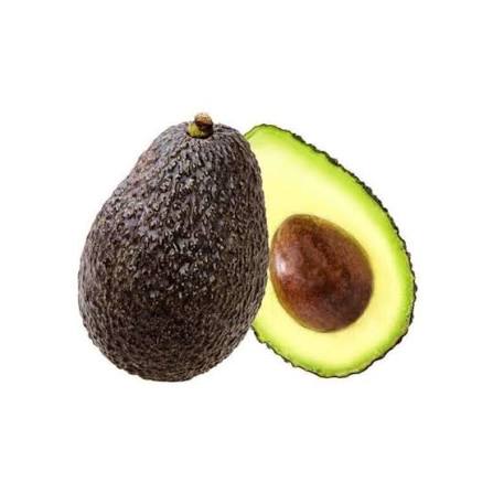 Avocado Per Pc