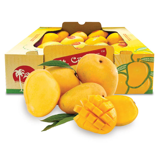 ATAULFO MANGO 14COUNT