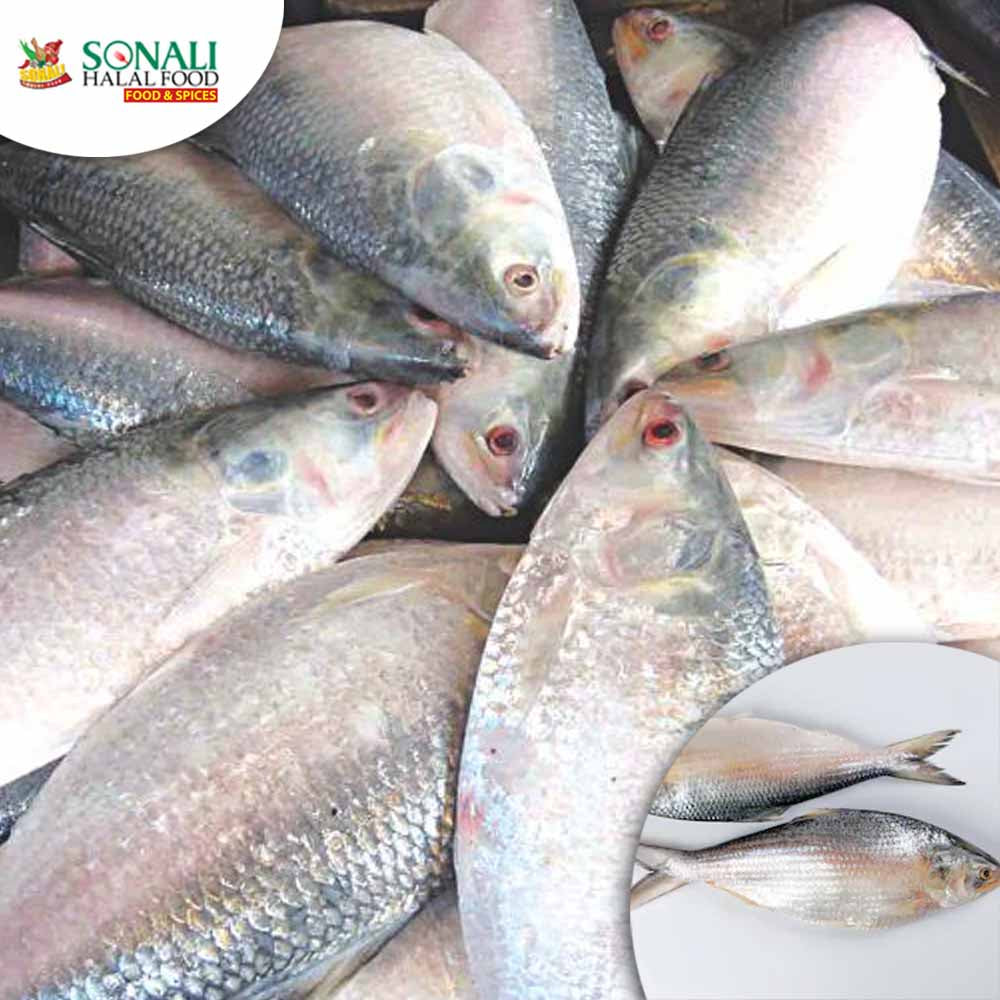 Saf Hilsa 10/12 Per Lb