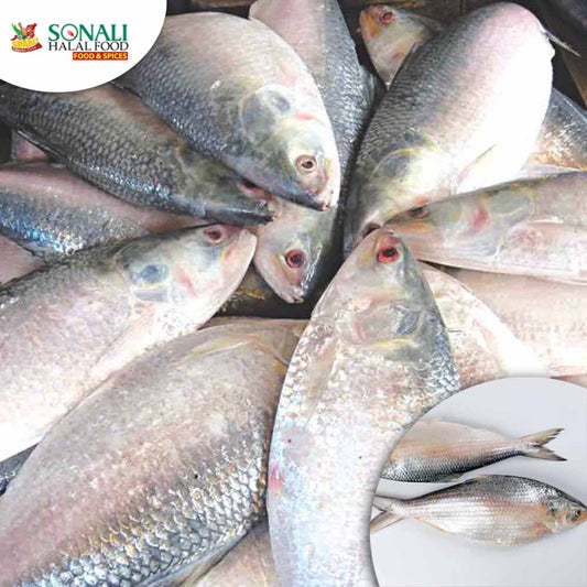 Saf Hilsa 10/12 Per Lb