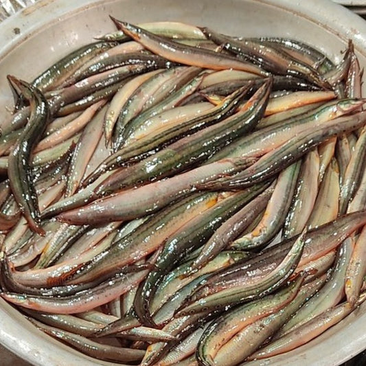 Bombidayalu Per Lb