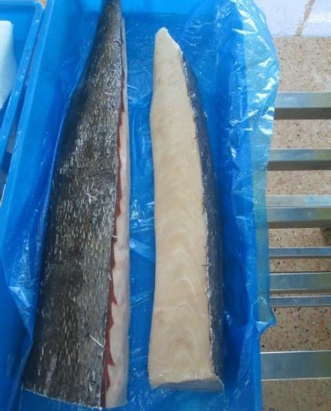 Ob Blue Marlin 2lb