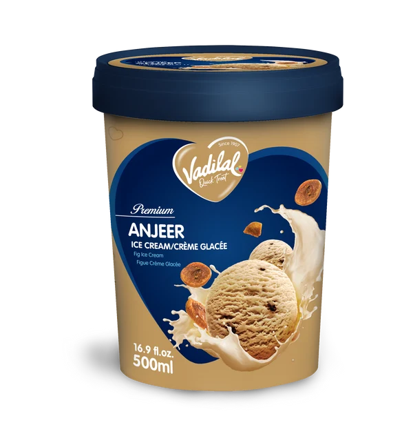 Vadilal Anjeer Icecream 500ml