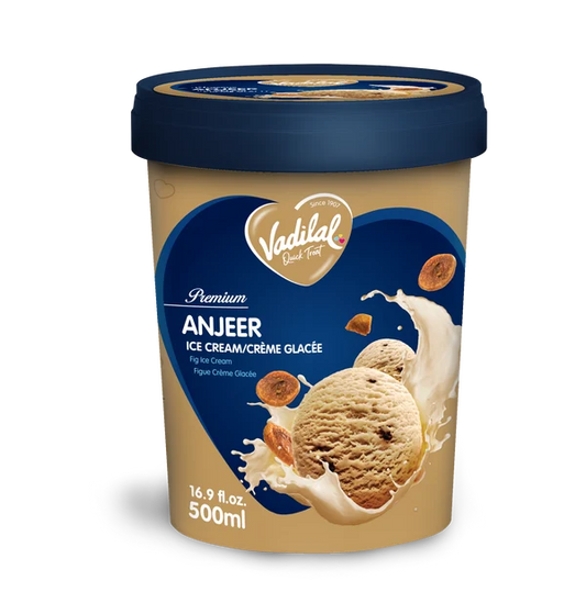 Vadilal Anjeer Icecream 500ml