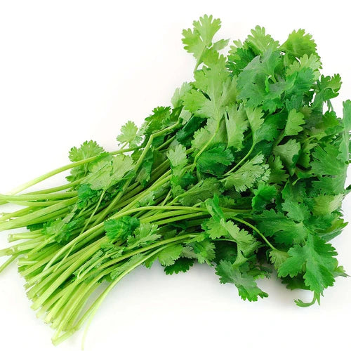Cilantro Per Pc