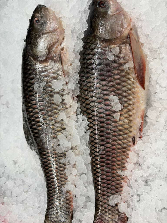Rohu Per Lb