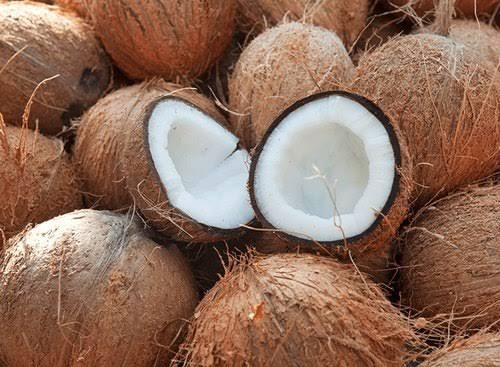 Fresh Coconut