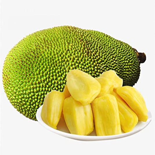 BABY JACKFRUIT PER LB