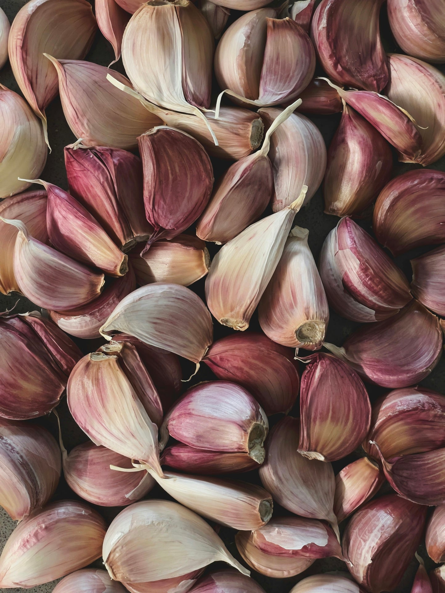 Garlic Sleeves