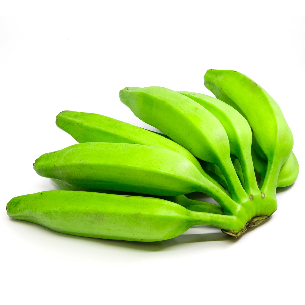 Green Banana Burra Per Lb