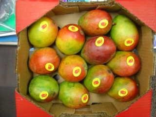 Haden Mango Box 14ct
