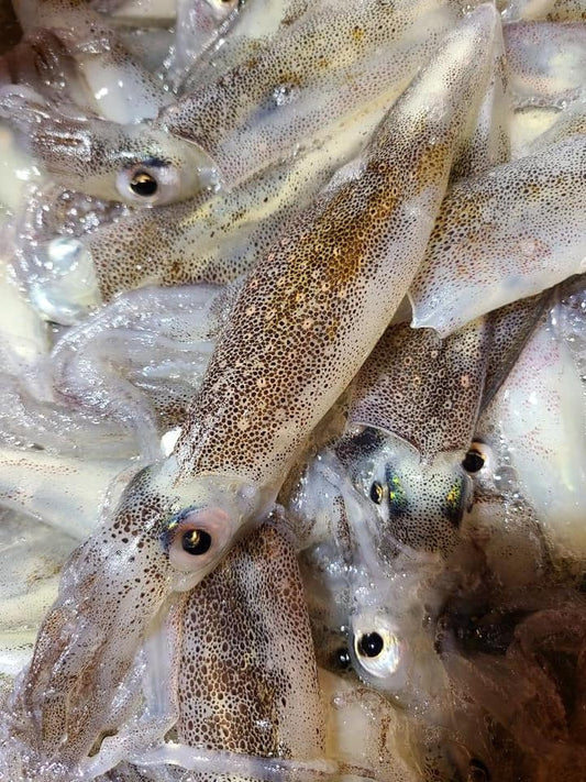 Squid Fish Per Lb
