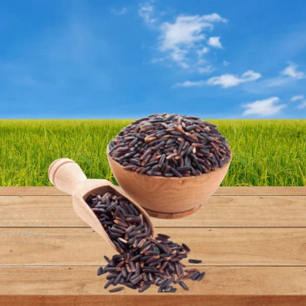 SHASTHA BLACK RICE 5LB