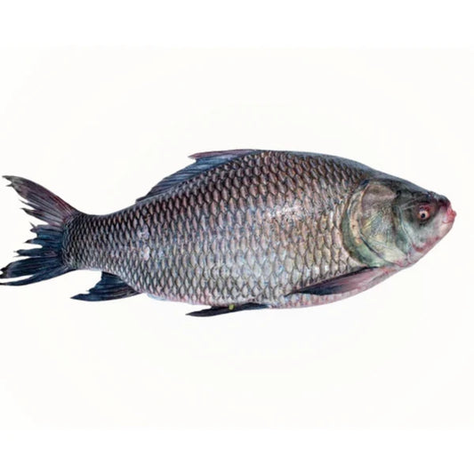 Saf Katla 2kg Up Per Lb