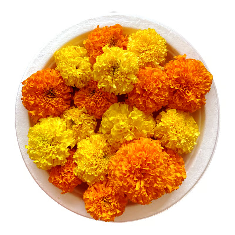 Marigold Flowers Pack