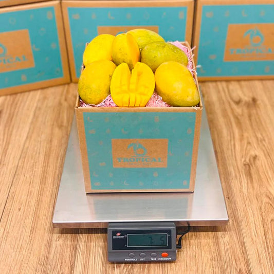 MINGOLO MANGO BOX