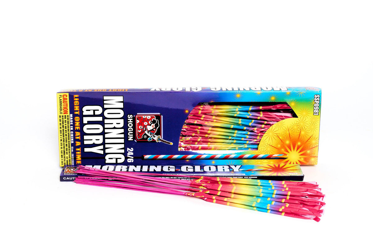 Neon Morning Glory 24pc