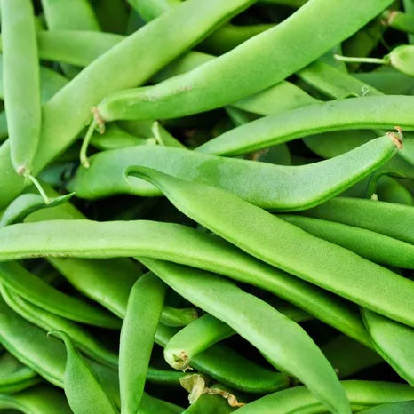 Romano Beans Per Lb