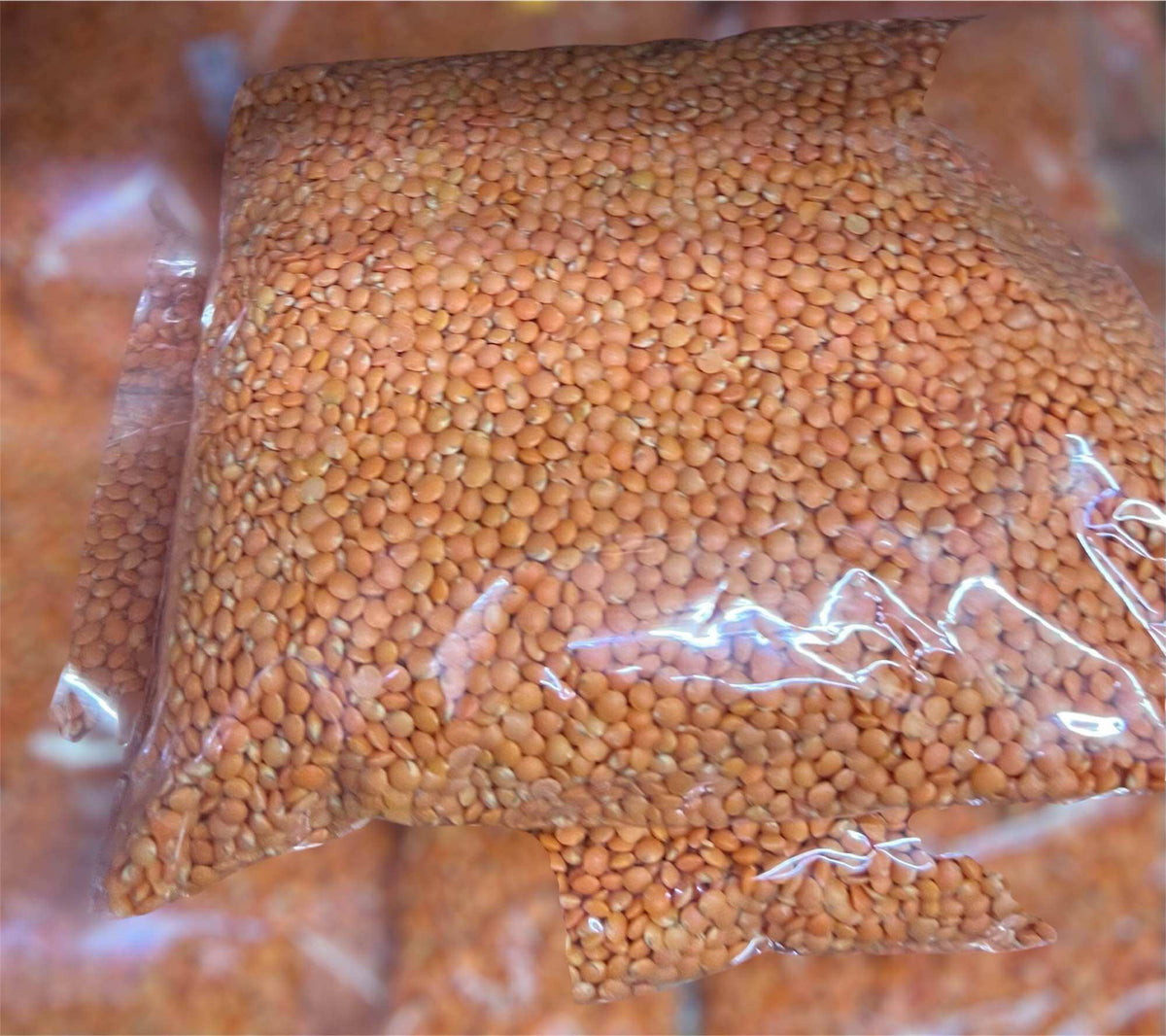 Icc Masoor Gota 4lb