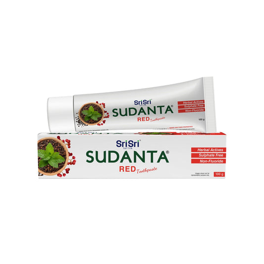 Sri Sri Tattva Sudant Red Toothpaste 150g
