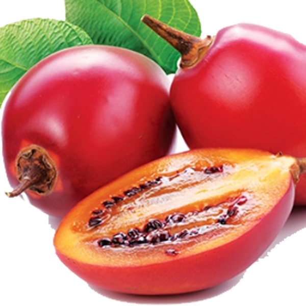 Tree Tomato