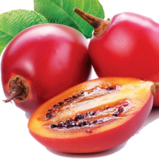 Tree Tomato
