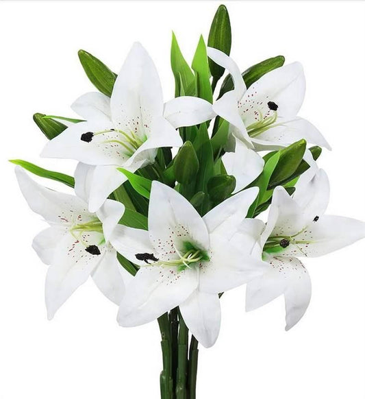 White Lily Flowers Per Pk