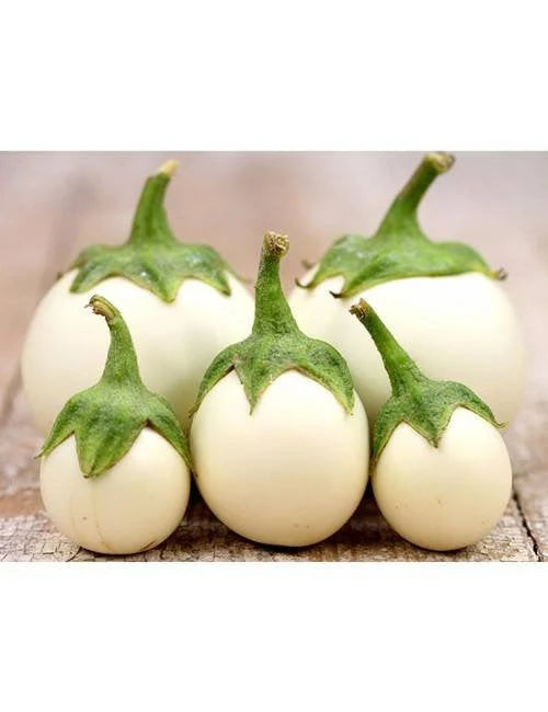 White Thai Egg Plant Per Lb